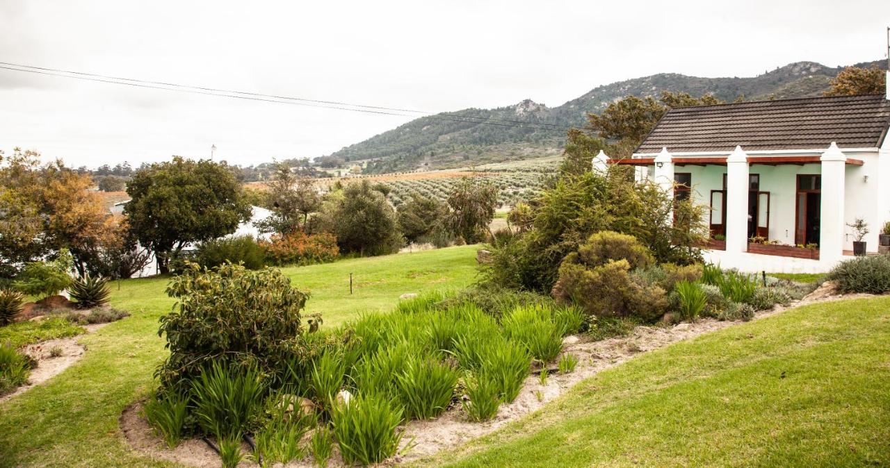 Ayama Wine Farm - Manor House Bed and Breakfast Wellington Buitenkant foto