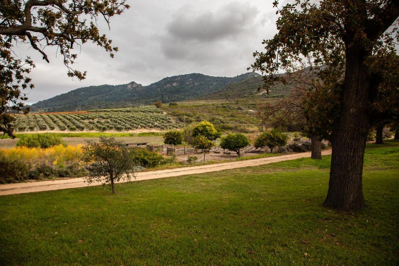 Ayama Wine Farm - Manor House Bed and Breakfast Wellington Buitenkant foto